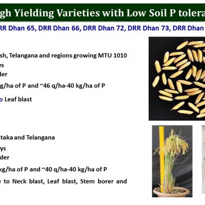 Slide11