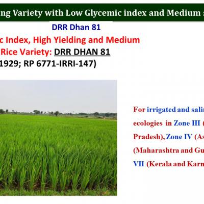 Slide16