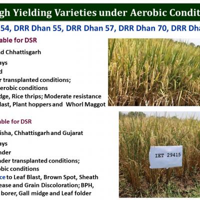 Slide21