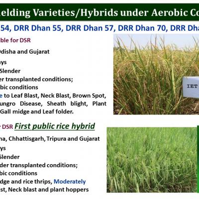 Slide22