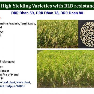 Slide23