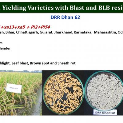 Slide27