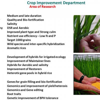 Slide2