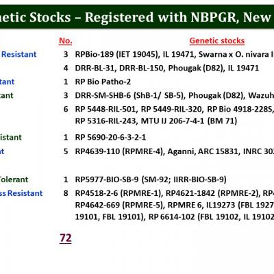 Slide33