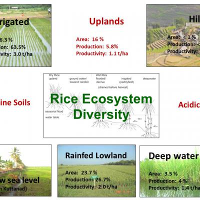Slide3